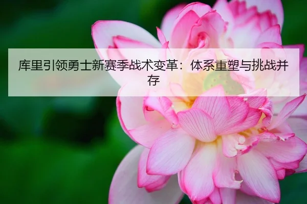 库里引领勇士新赛季战术变革：体系重塑与挑战并存