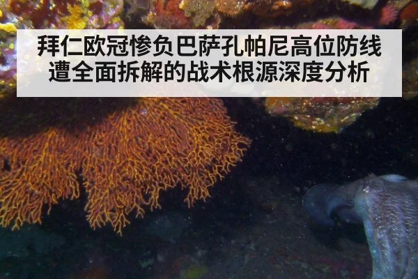 拜仁欧冠惨负巴萨孔帕尼高位防线遭全面拆解的战术根源深度分析